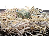 Untitled (Nest Egg)