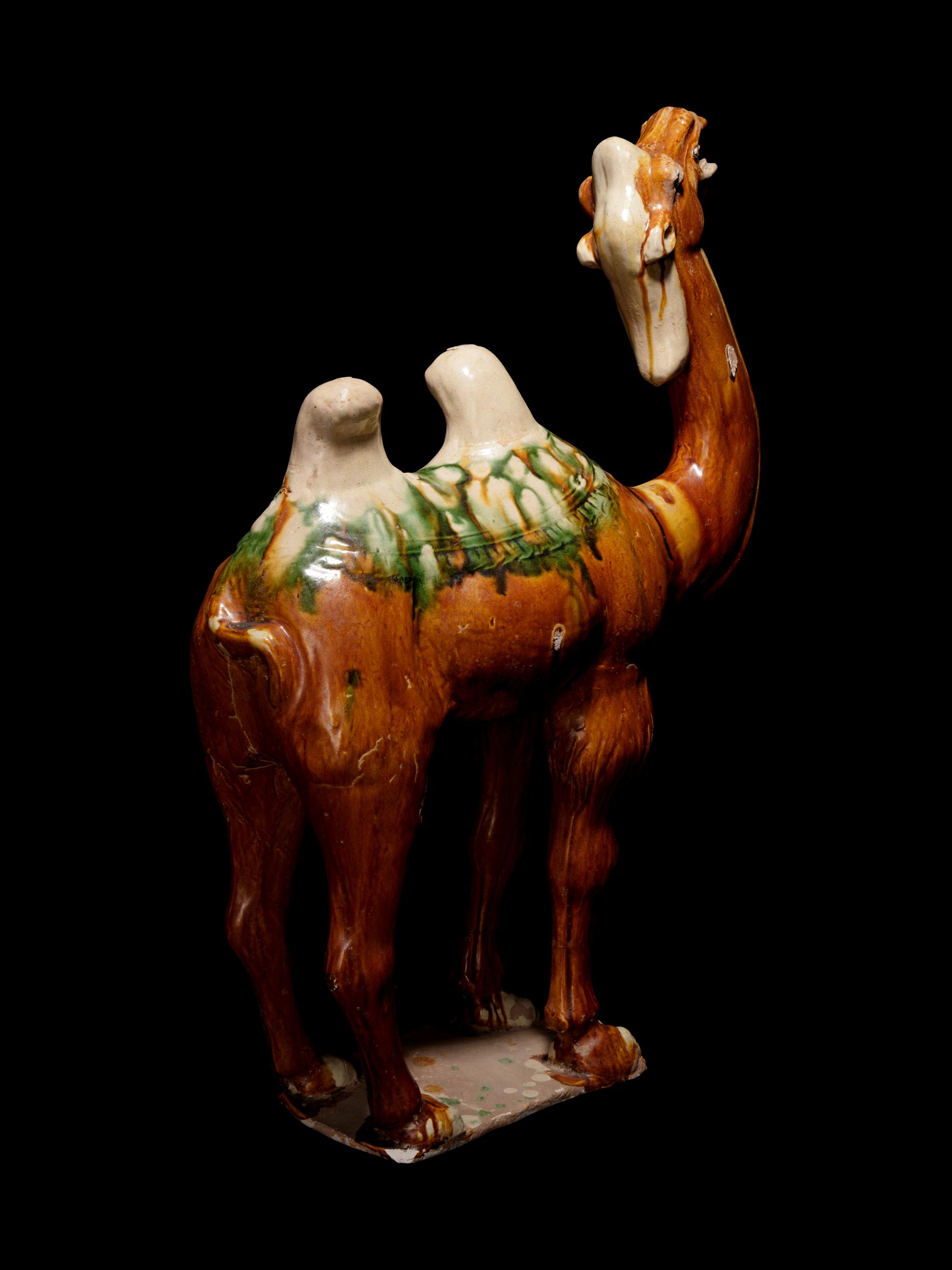 A Sancai Glazed Pottery Figure of a Camel