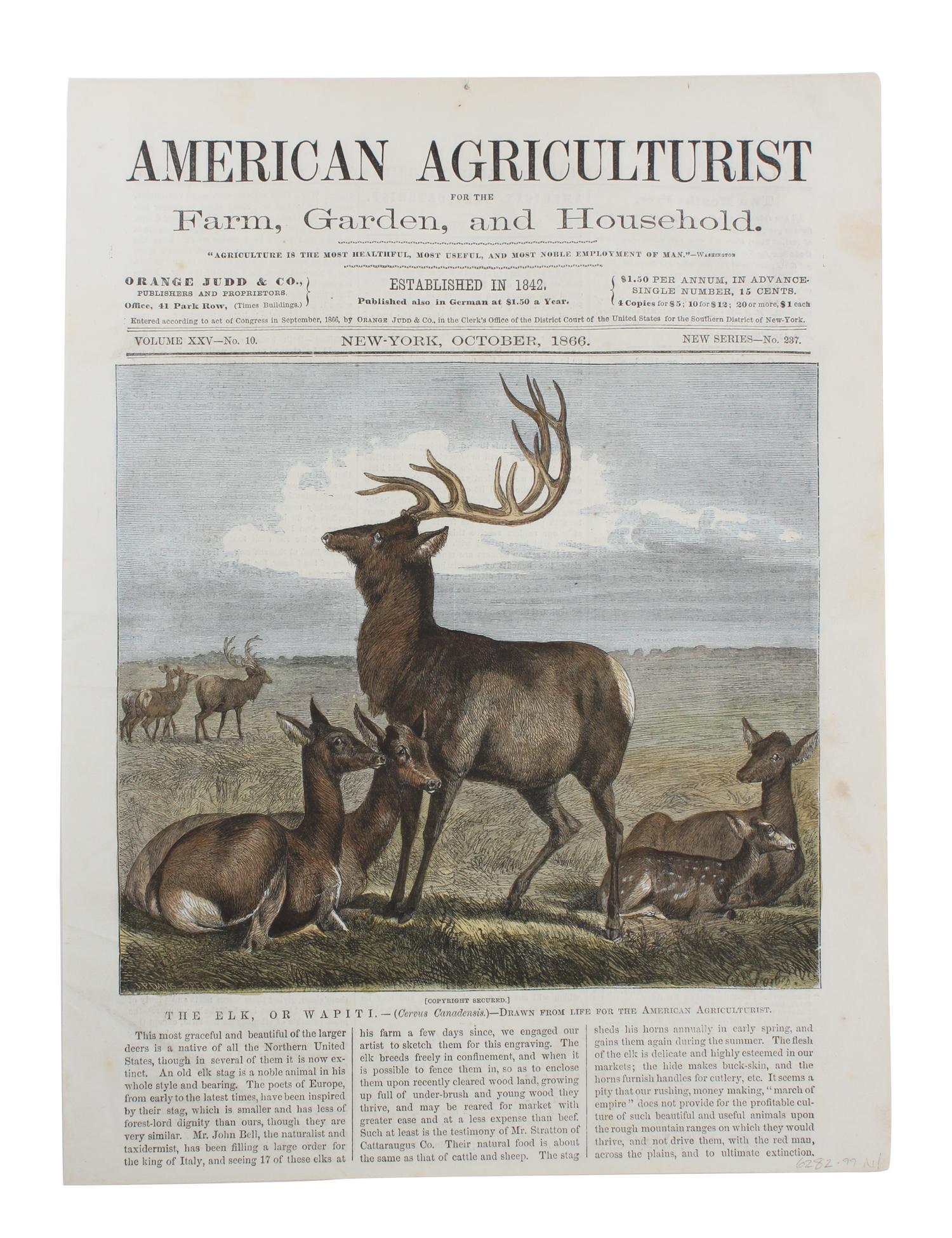 Five Hand Colored Game Prints 11 1/2 x 15 1/2 inches (largest) — 19TH CENTURY