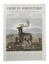 Five Hand Colored Game Prints 11 1/2 x 15 1/2 inches (largest) — 19TH CENTURY
