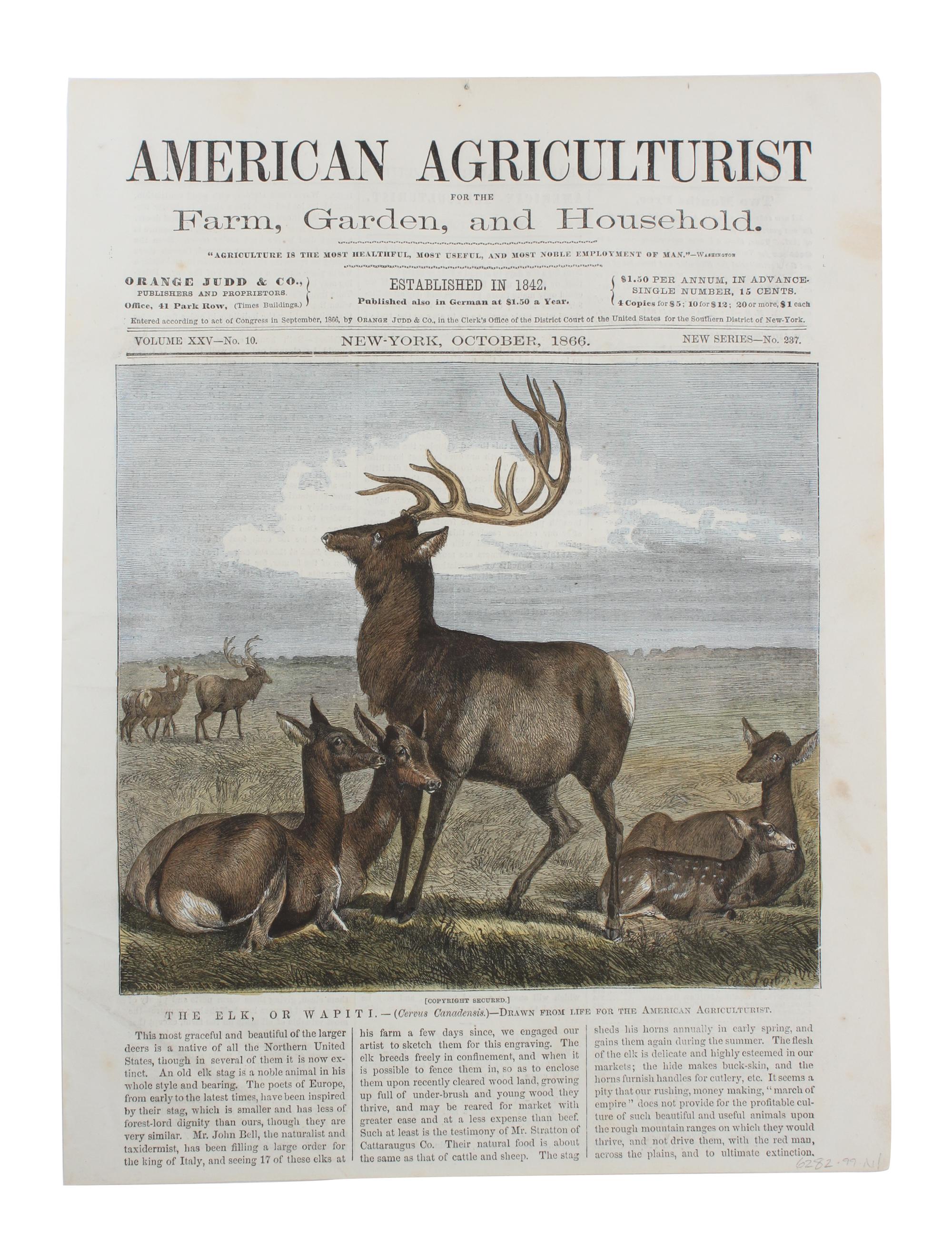 Five Hand Colored Game Prints 11 1/2 x 15 1/2 inches (largest) — 19TH CENTURY