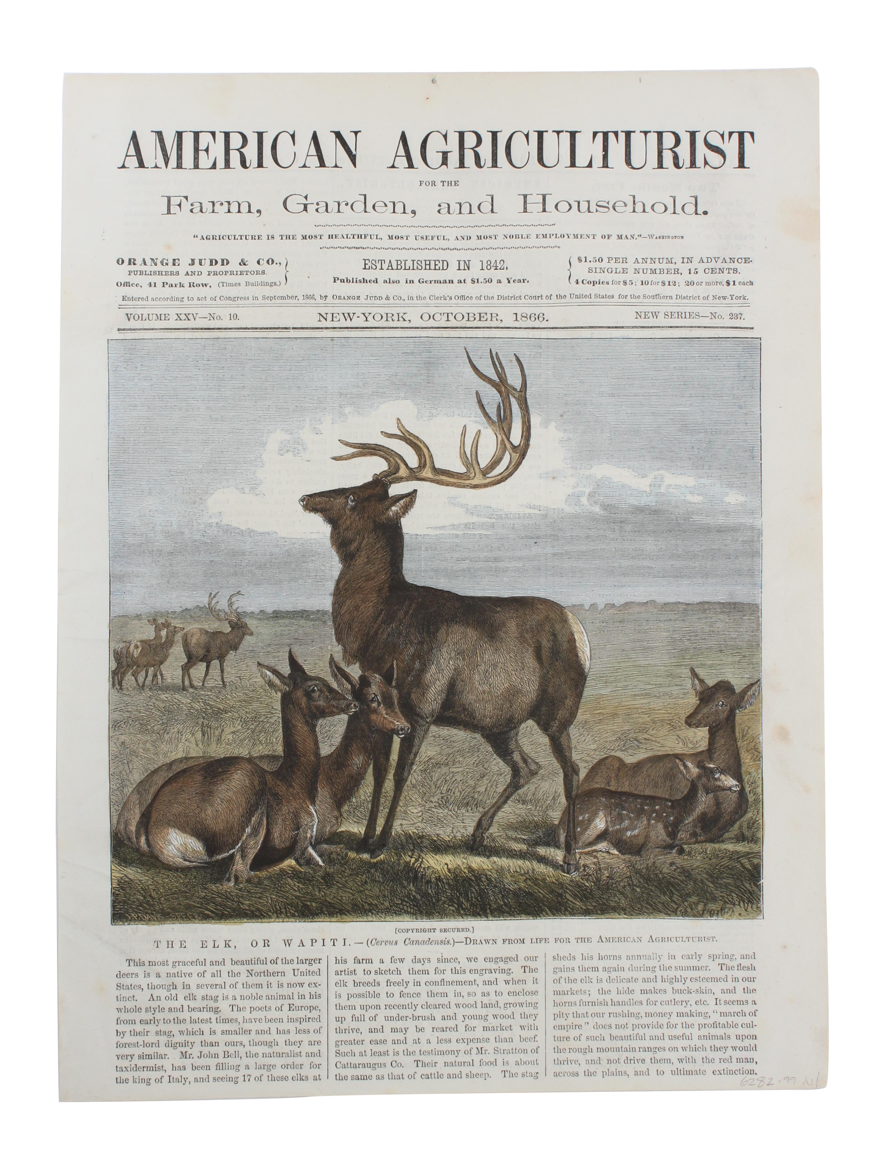 Five Hand Colored Game Prints 11 1/2 x 15 1/2 inches (largest) — 19TH CENTURY