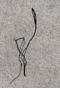 Martha's Vineyard (Sea Weed) 21 , 1953