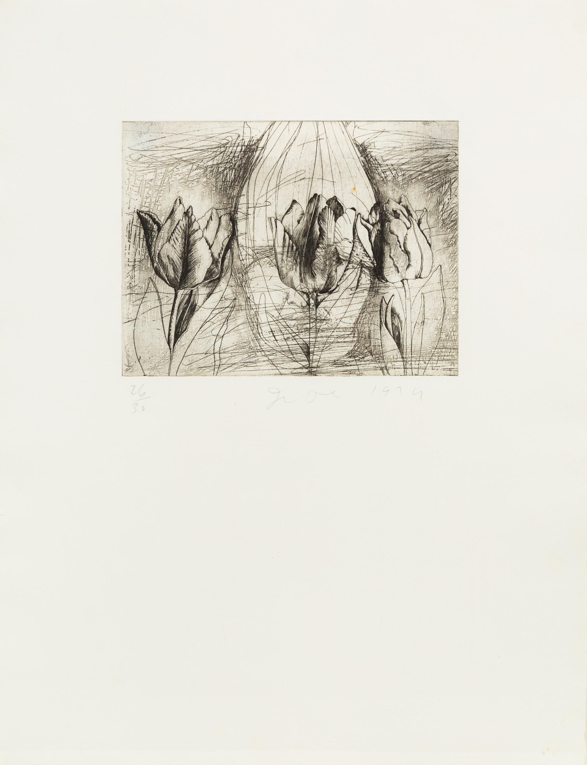 Jim Dine, (American, b. 1935), Self-portrait in a ski hat (Obliterated by tulips), 1974