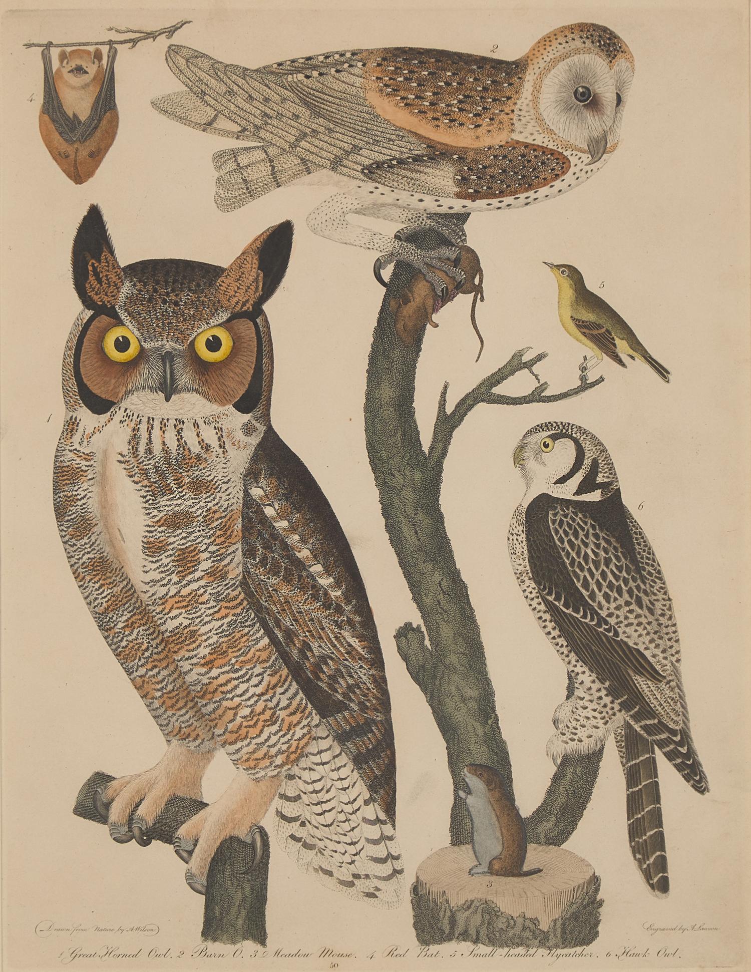 Alexander Lawson (1773-1846) and John G. Warnicke (died 1818), After Alexander Wilson (1766-1813), A Set of Sixteen Hand-Colored Engravings of Various Birds