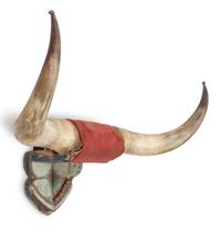 Four Decorative Longhorn Mounts