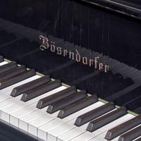 Bösendorfer 1986 — Grand Piano, Model 225
