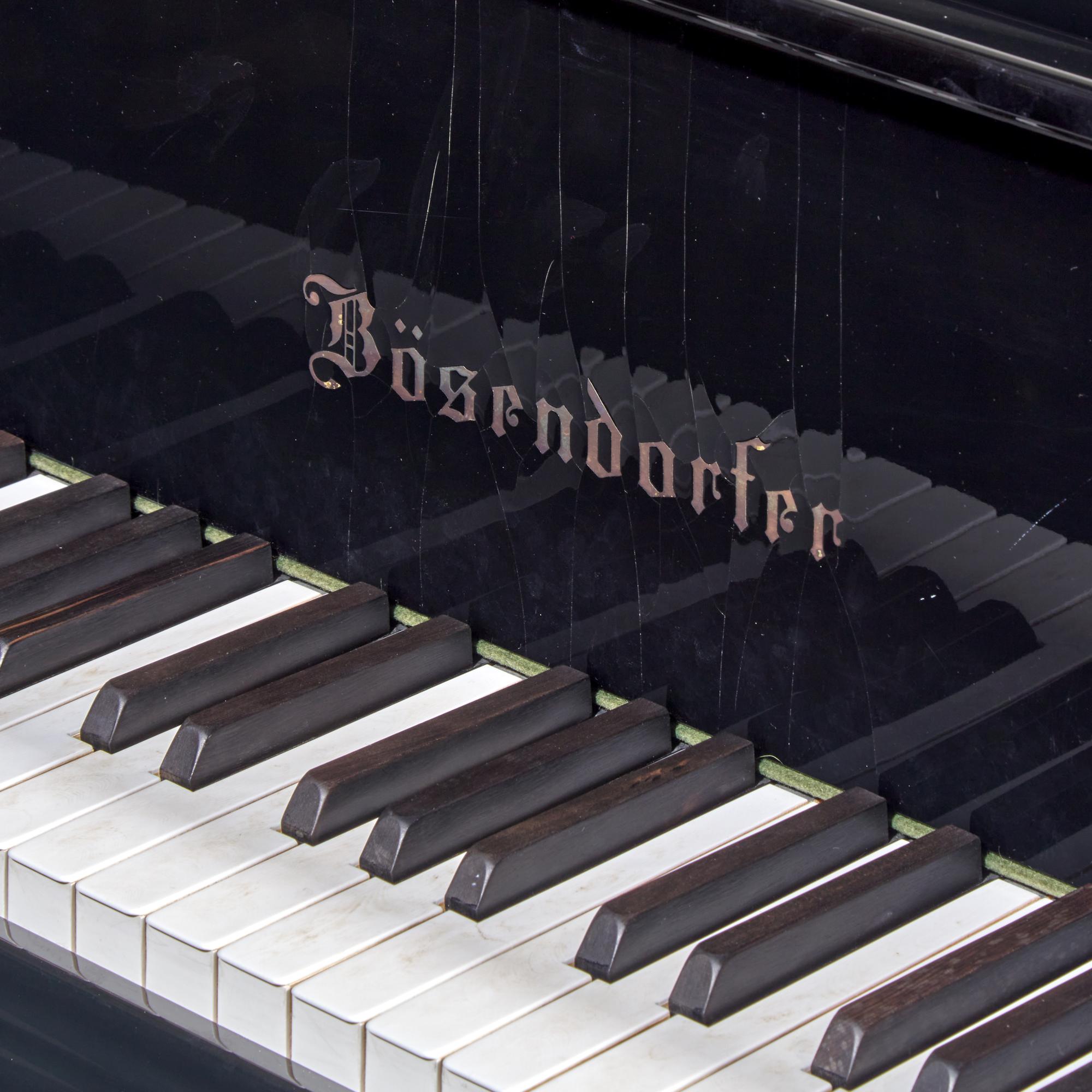 Bösendorfer 1986 — Grand Piano, Model 225