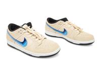 Dunk SB Low Truck It