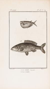 (BUFFON, LECLERC) SONNINI, CHARLES SIGISBERT. Histoire naturelle, generale et particuliere des poissons...Paris, 1803-4. 13 v. 1st ed.