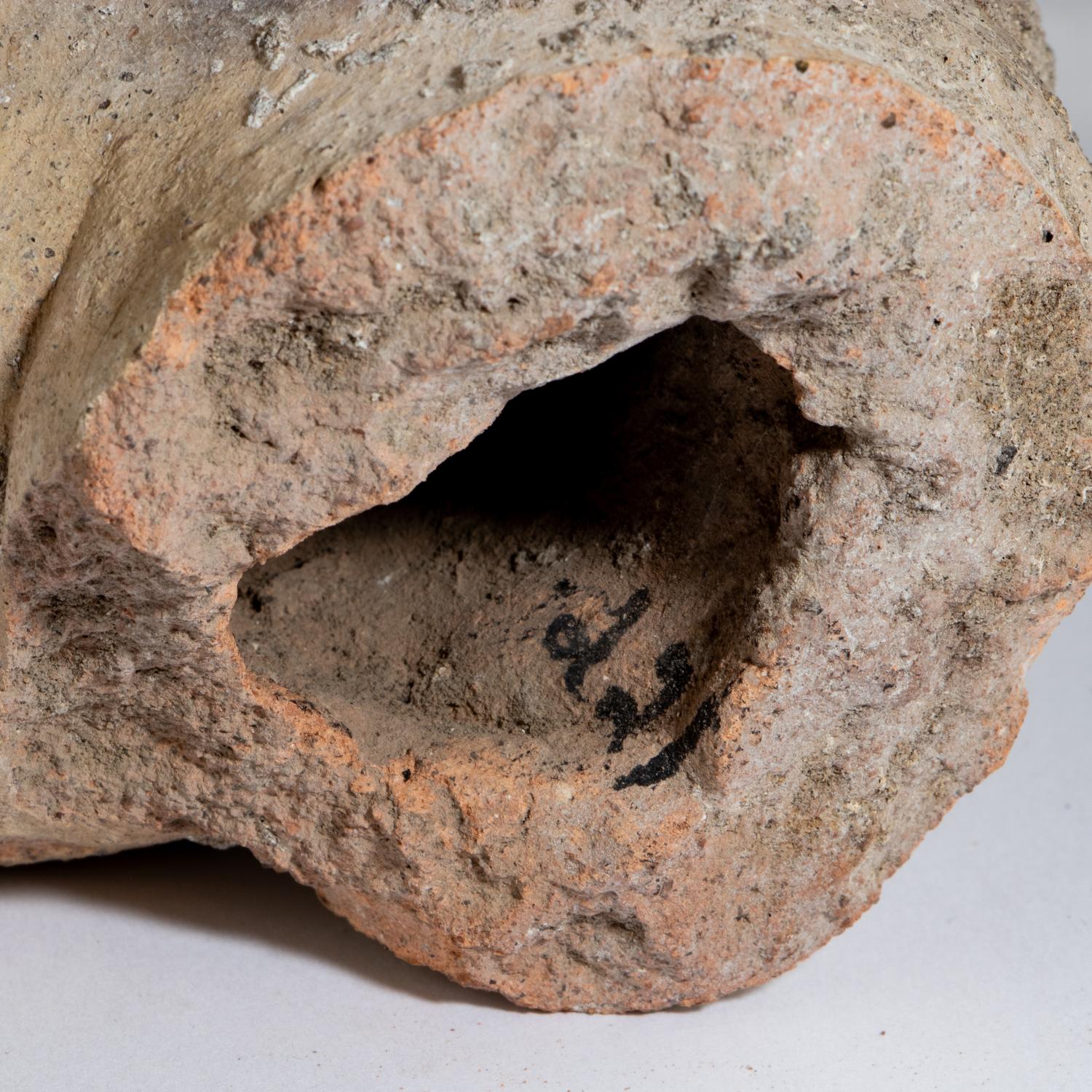 A Cypriot Terracotta Votive Head