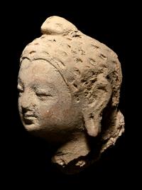 Five Gandharan Fragmentary Stucco Heads