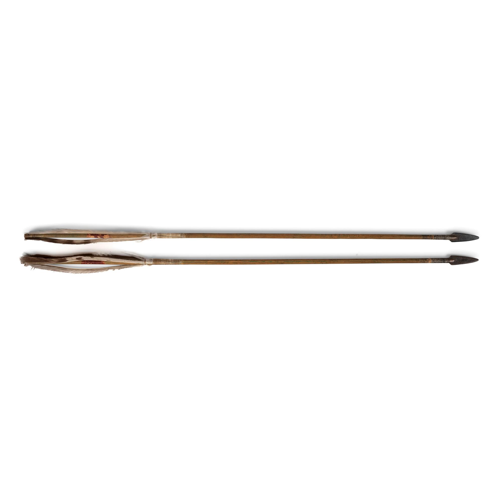 Pair of Plains Matched Arrows