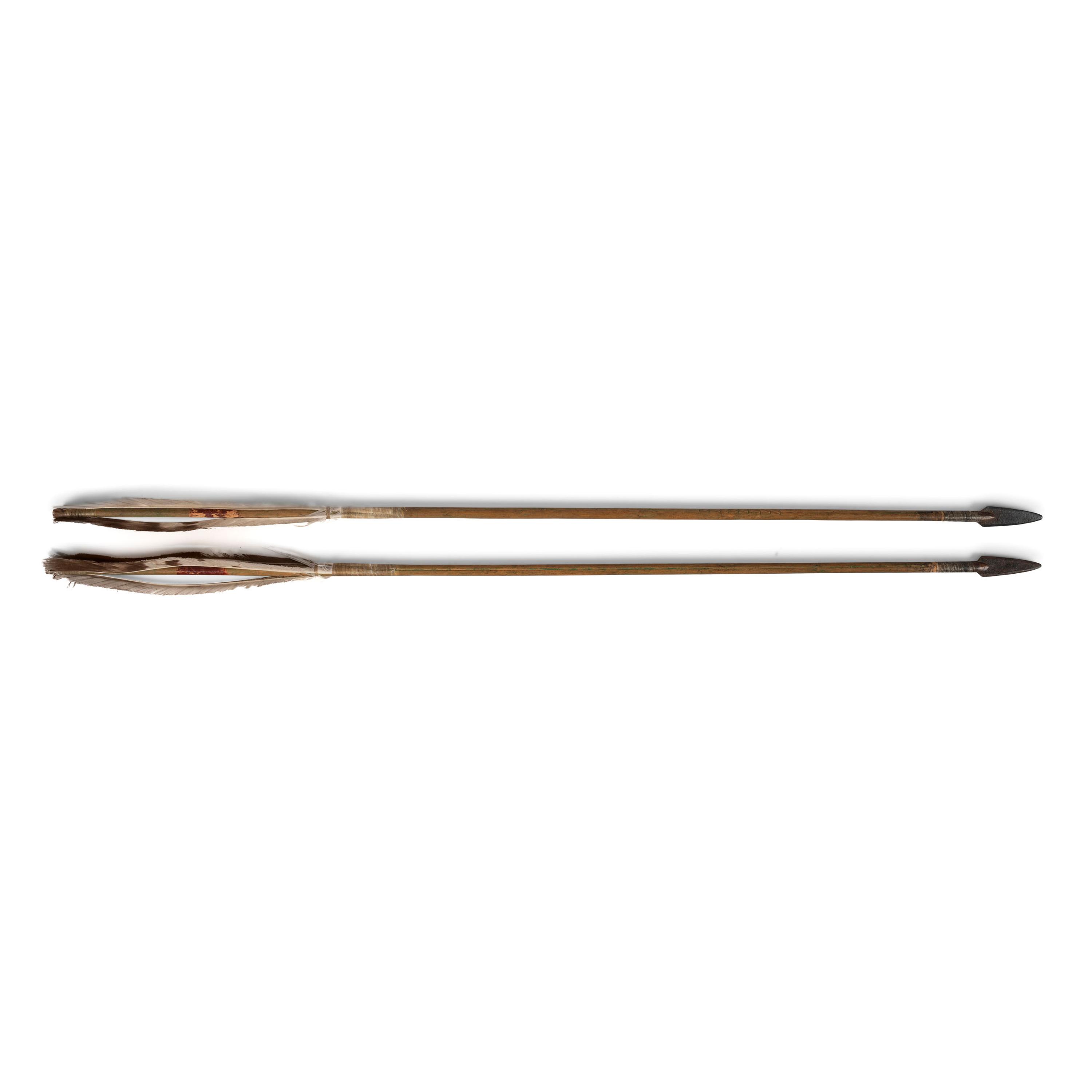 Pair of Plains Matched Arrows