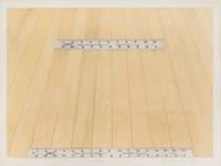 Sylvia Mangold, (American, b. 1938), A 12" Rule not diminished, the length of an 18" Rule if were, 1975