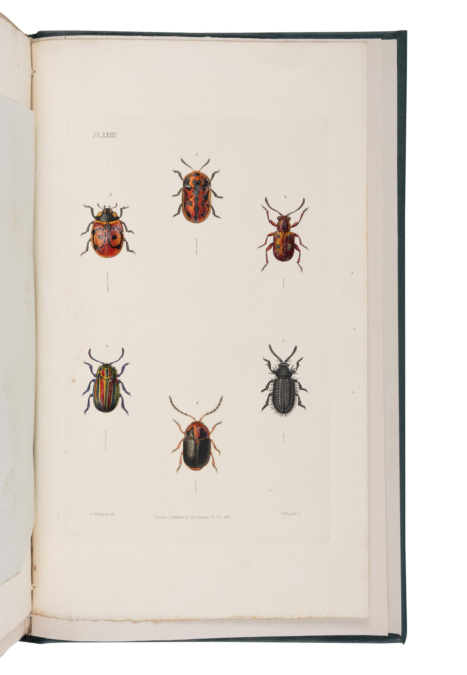 [NATURAL HISTORY] -- [DARWIN, Charles (1809-1882), contributor]. -- STEPHENS, James Francis (1792-1852). Illustrations of British Entomology; or a Synopsis of Indigenous Insects... London: Baldwin and Cradock, [1827-] 1828-1835 [-1845]; supplement, 1846.