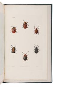 [NATURAL HISTORY] -- [DARWIN, Charles (1809-1882), contributor]. -- STEPHENS, James Francis (1792-1852). Illustrations of British Entomology; or a Synopsis of Indigenous Insects... London: Baldwin and Cradock, [1827-] 1828-1835 [-1845]; supplement, 1846.
