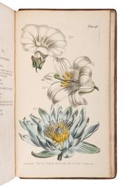 [NATURAL HISTORY]. CURTIS, William (1746-1799). Lectures on Botany. London: H.D. Symonds, 1805.