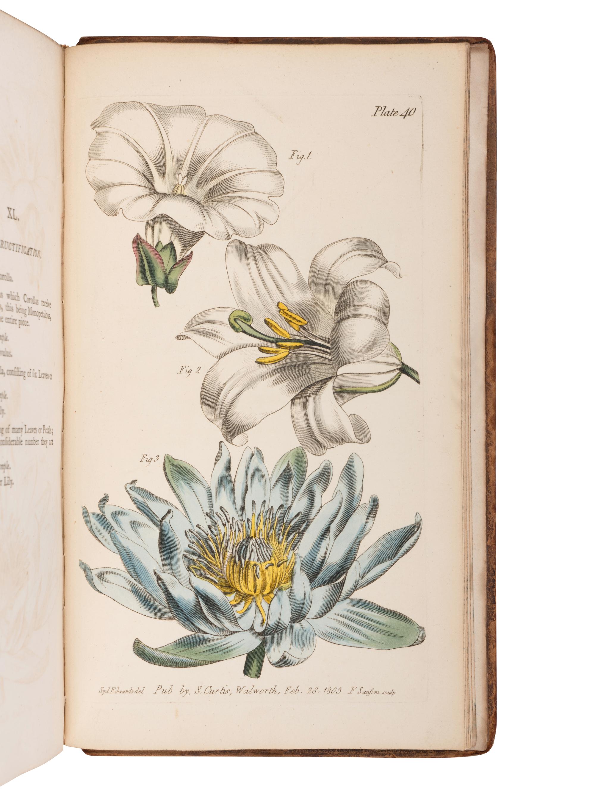 [NATURAL HISTORY]. CURTIS, William (1746-1799). Lectures on Botany. London: H.D. Symonds, 1805.
