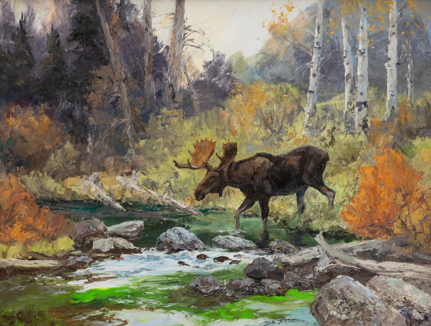 Wyoming Moose