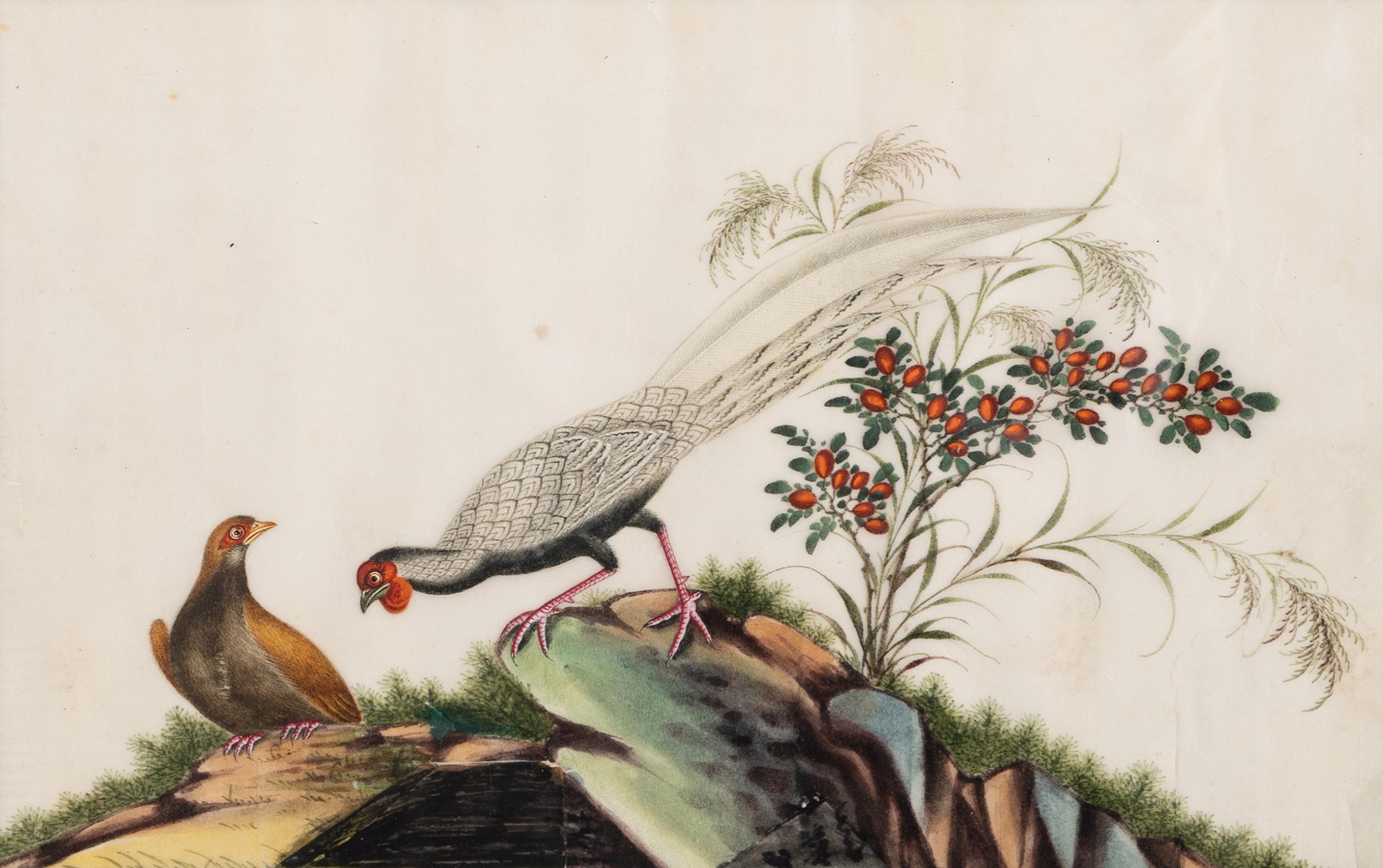 A Set of Twelve Chinese Export Watercolor and Pith Paintings