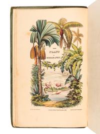 [FLOWERING PLANTS]. A group of 13 works, including: