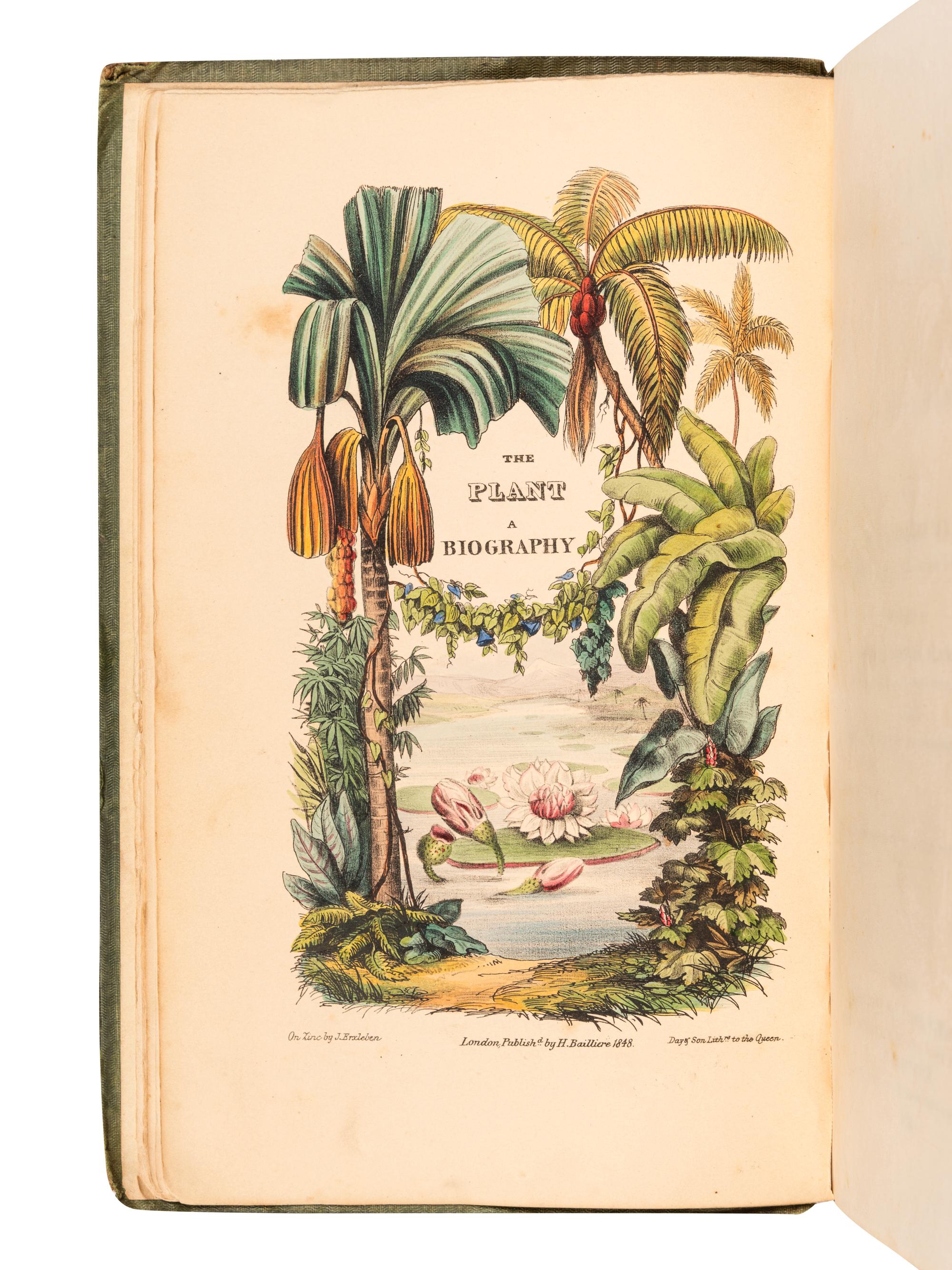 [FLOWERING PLANTS]. A group of 13 works, including: