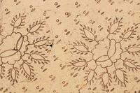 RELEASED TO MUSEUM -- Twenty-Three Lace Patterns, 18th-19th Century