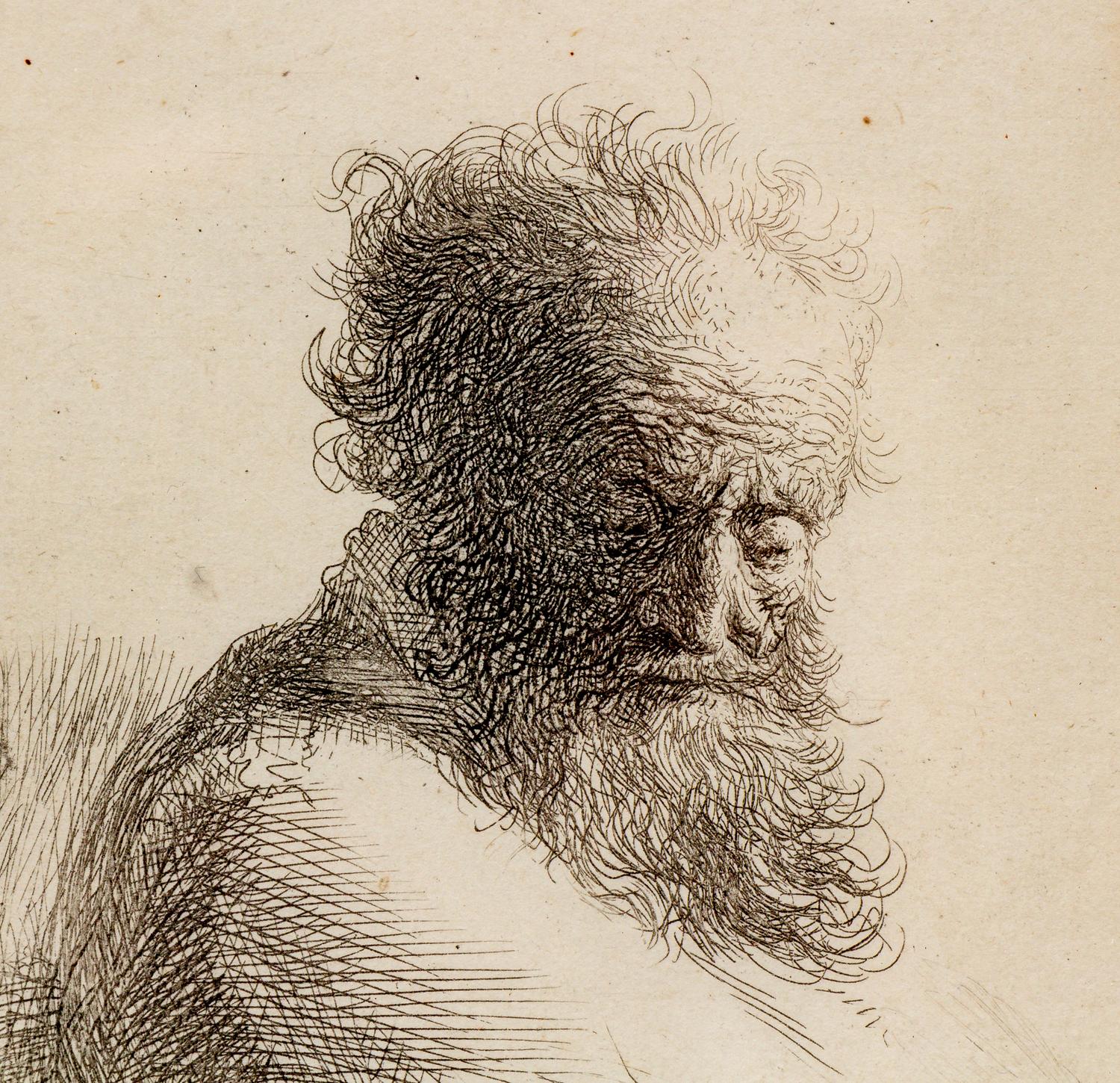 Bust of an Old Bearded Man, Looking Down