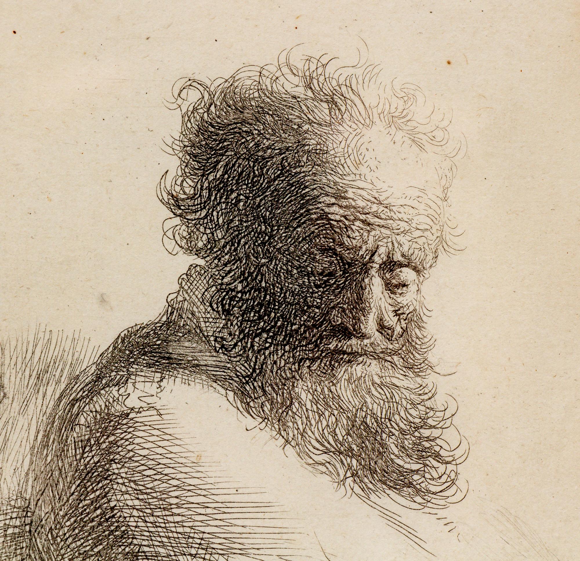 Bust of an Old Bearded Man, Looking Down
