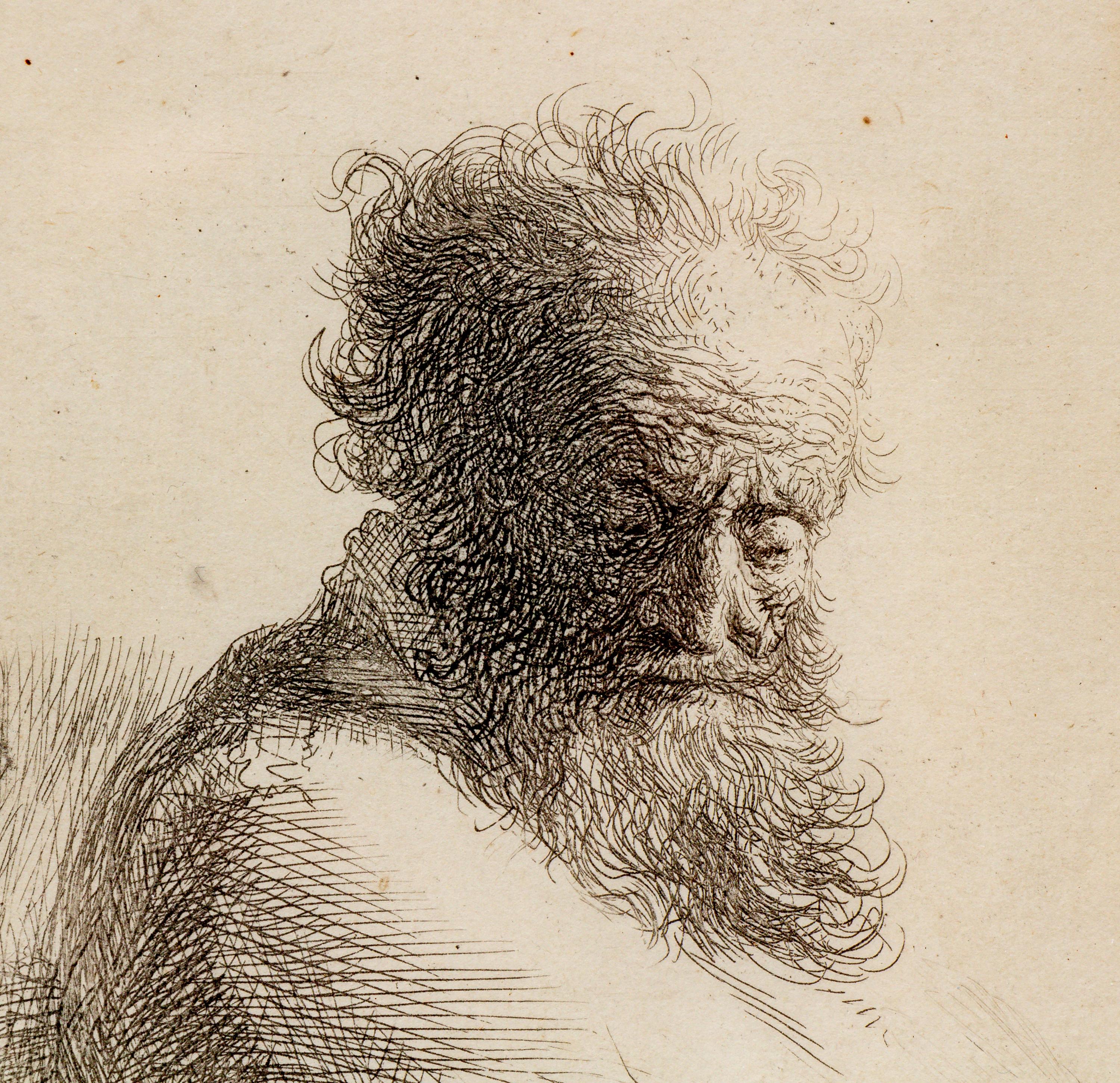 Bust of an Old Bearded Man, Looking Down