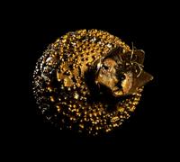 A Greco-Roman Gold Pomegranate