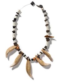 Bear Tooth Necklace
