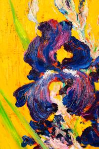 Irises