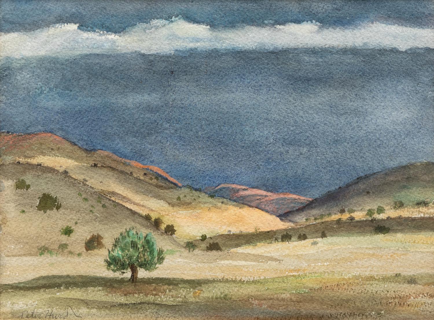 Rolling Hills