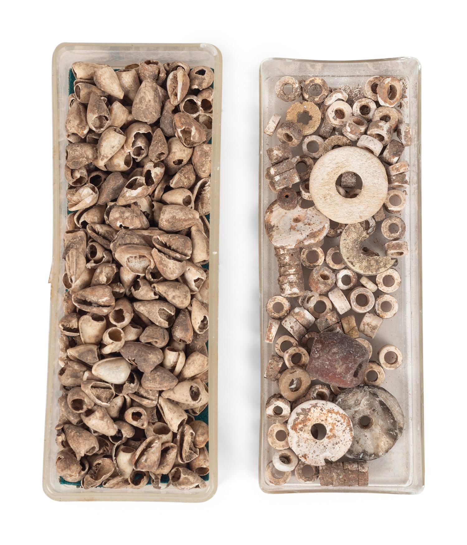 A Group of Shell Beads