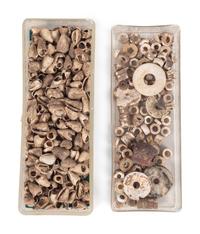 A Group of Shell Beads