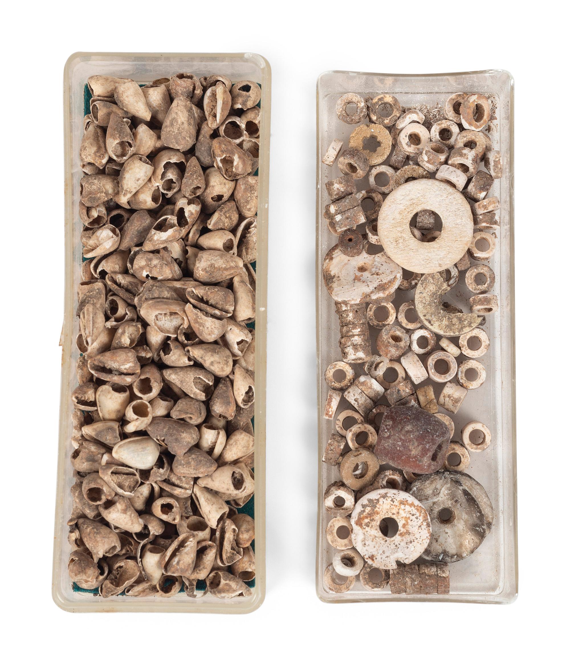A Group of Shell Beads