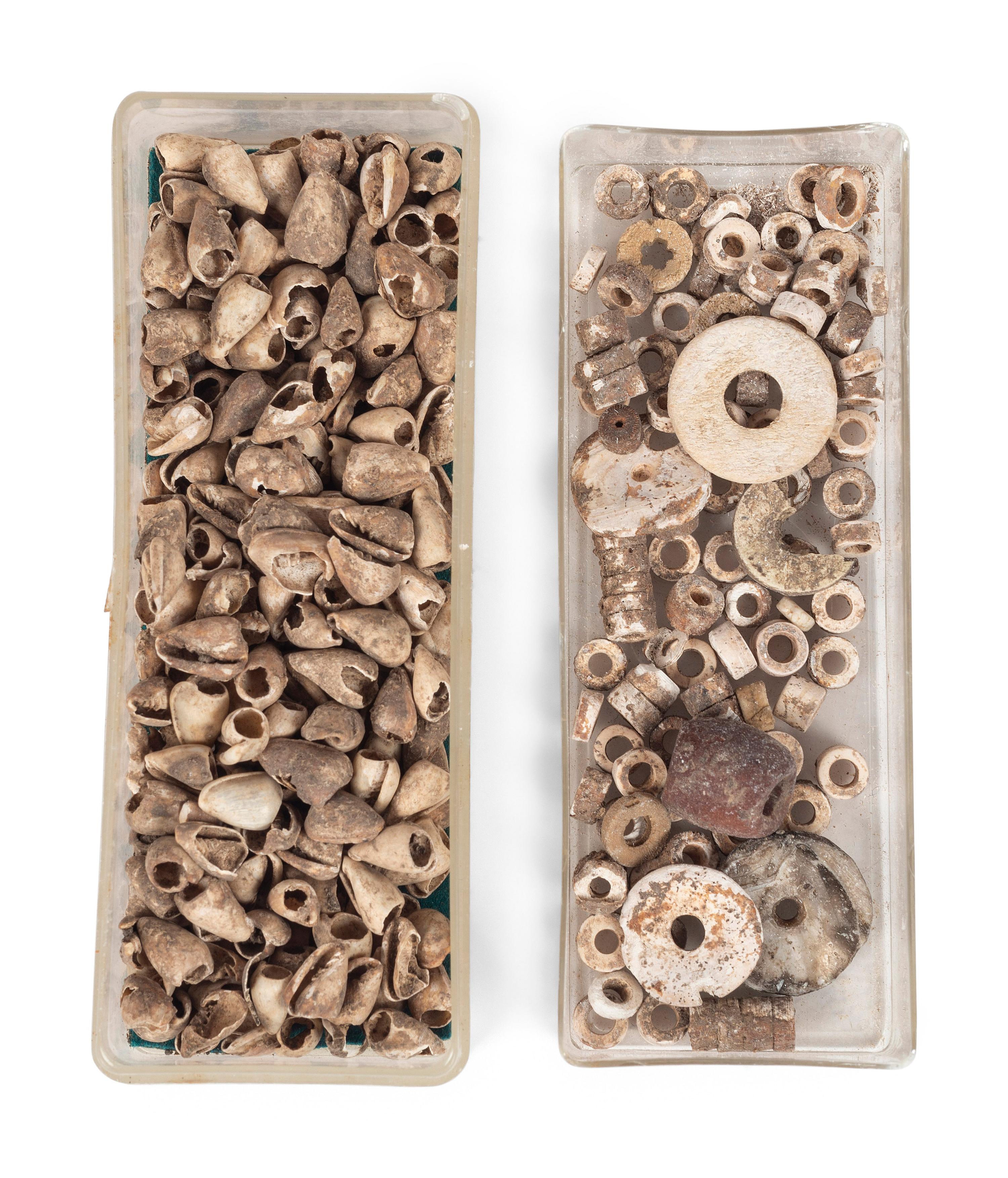 A Group of Shell Beads