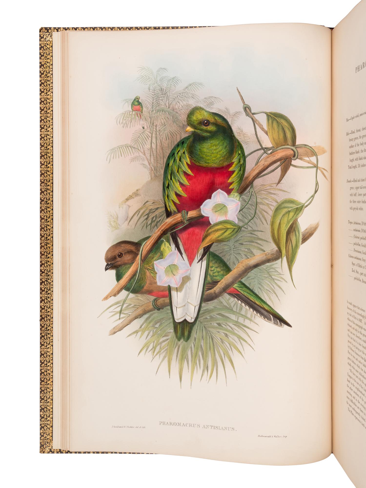 [NATURAL HISTORY]. GOULD, John (1804-1881). A Monograph of the Trogonidae, or Family of Trogons . London: Taylor and Francis for the Author, [1858-] 1875.