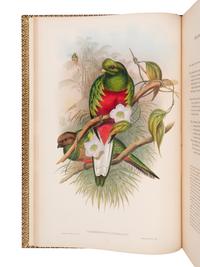 [NATURAL HISTORY]. GOULD, John (1804-1881). A Monograph of the Trogonidae, or Family of Trogons . London: Taylor and Francis for the Author, [1858-] 1875.
