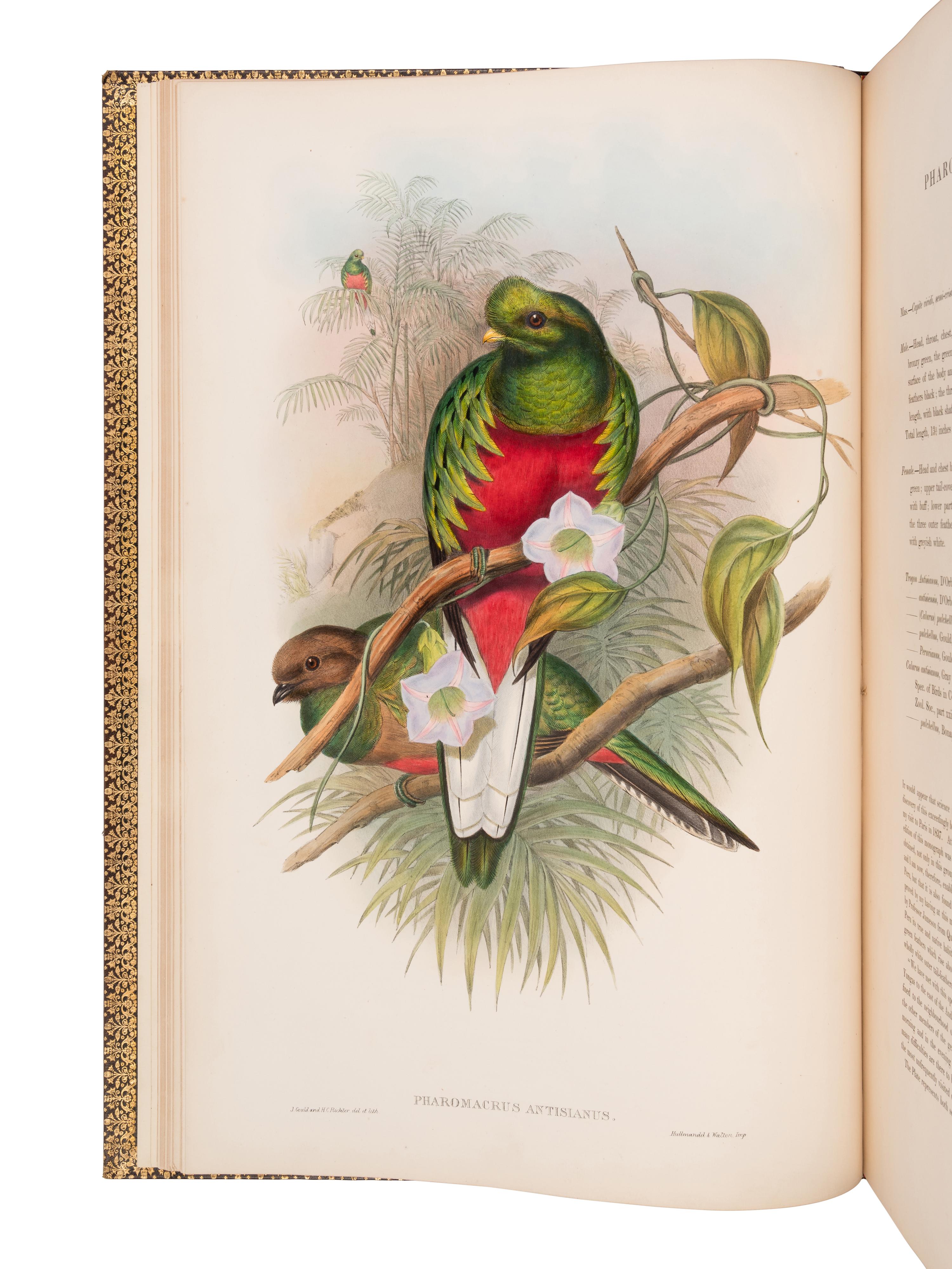 [NATURAL HISTORY]. GOULD, John (1804-1881). A Monograph of the Trogonidae, or Family of Trogons . London: Taylor and Francis for the Author, [1858-] 1875.