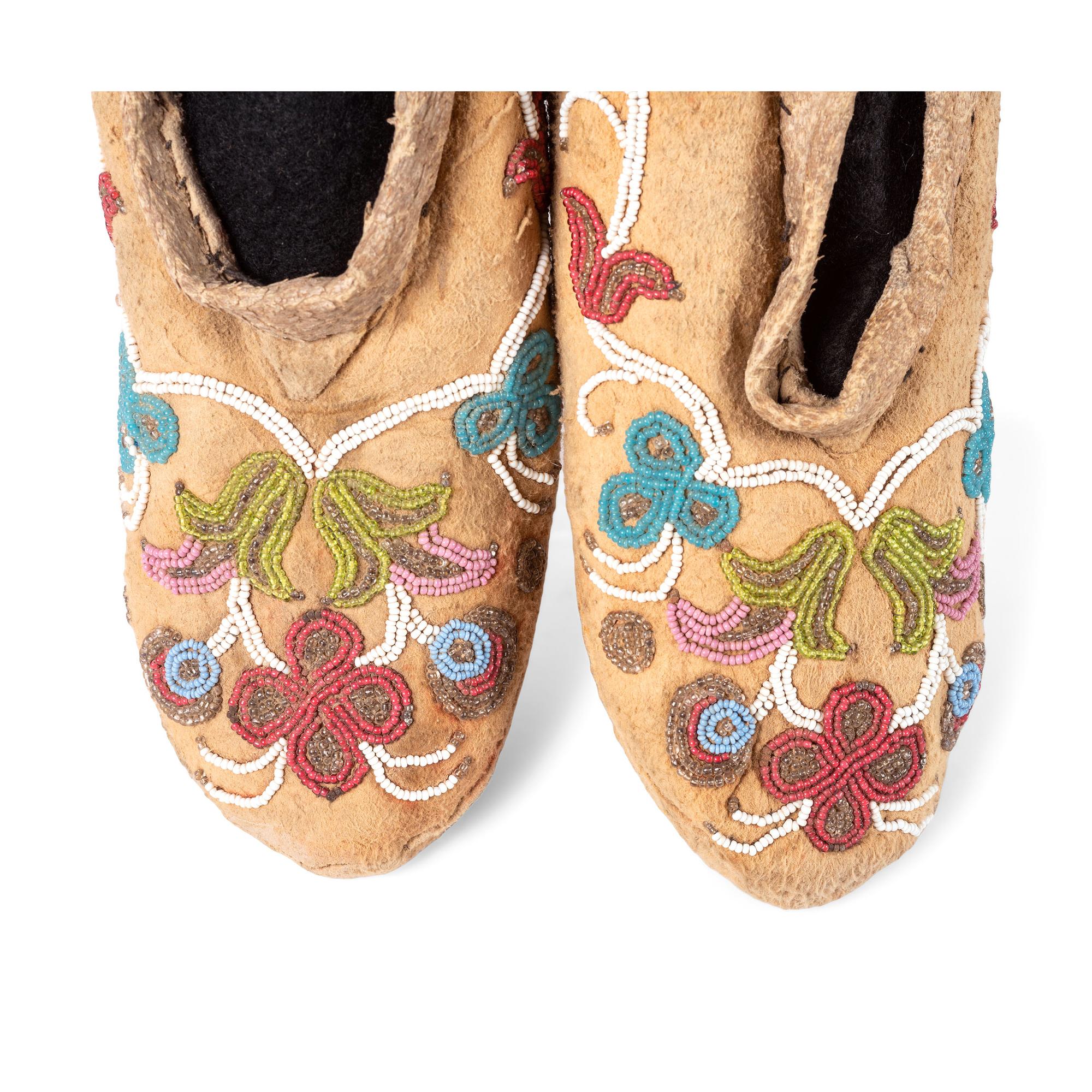 Group of Northeastern Moccasins