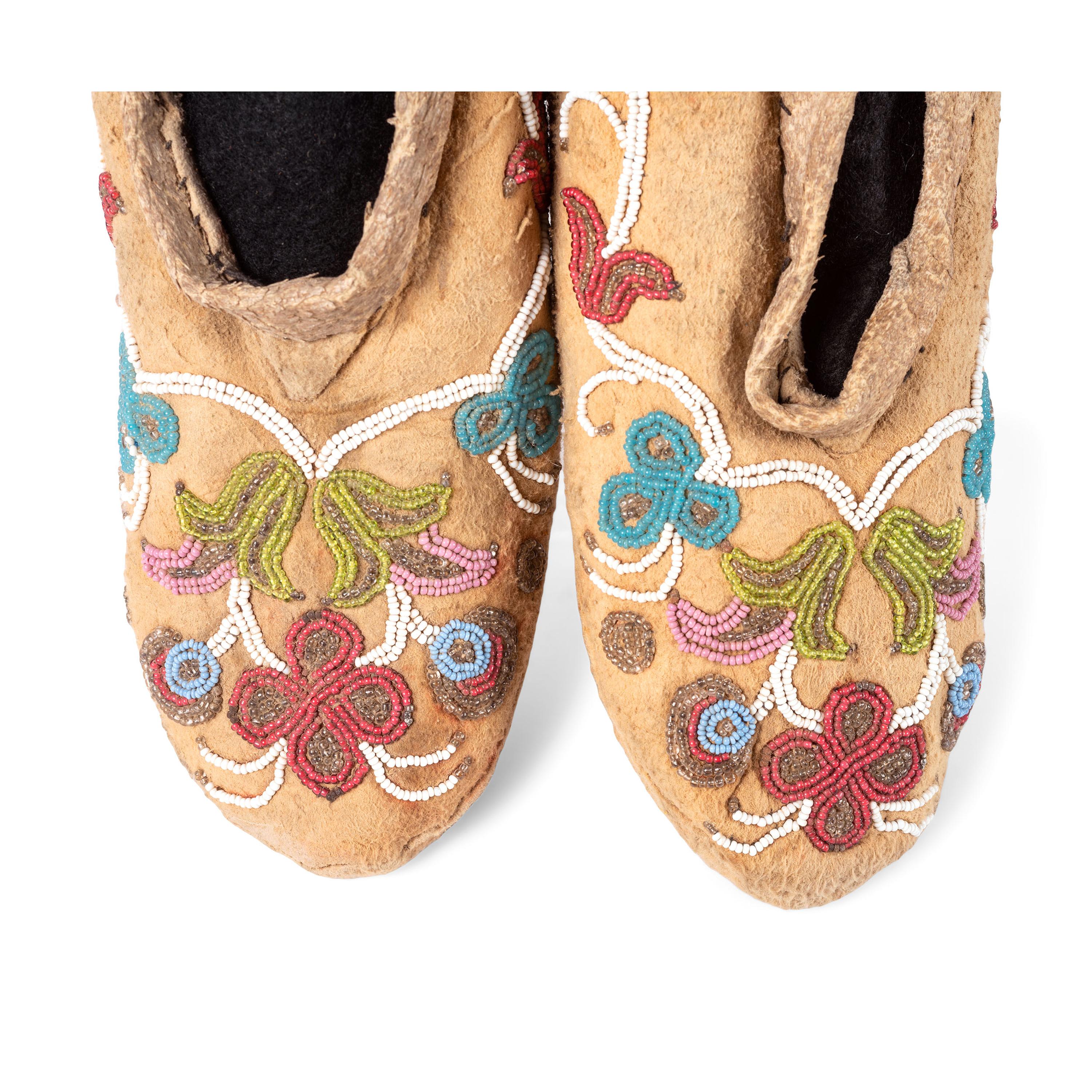 Group of Northeastern Moccasins