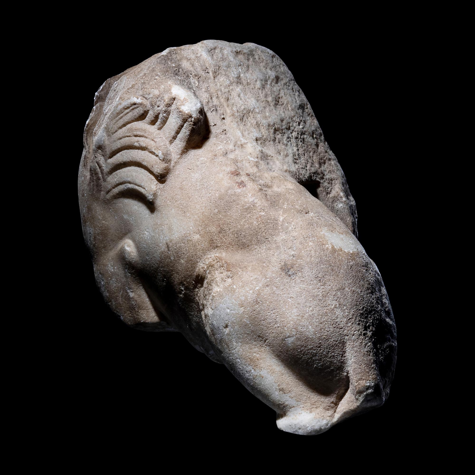 A Roman Marble Fragment of a Sphinx