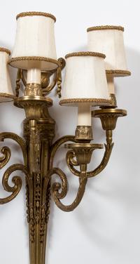 A Pair of Louis XVI Style Gilt-Bronze Five-Light Sconces