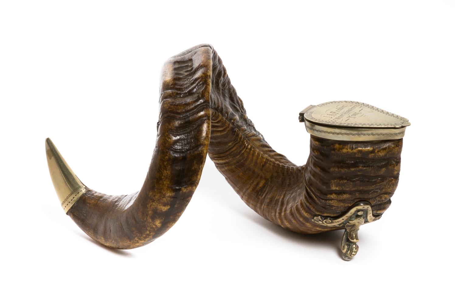 A Silverplate Mounted Ram's Horn, Width overall 12 inches.