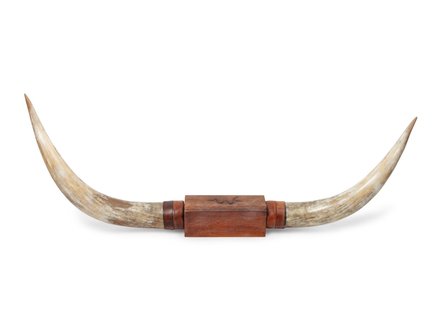 Decorative Longhorn Mount with "W" Brand