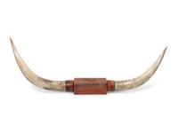 Decorative Longhorn Mount with "W" Brand