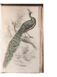 [NATURAL HISTORY]. JARDINE, William. (1800-1874). The Naturalist's Library . Edinburgh: W.H. Lizars; London: Chatto & Windus; Henry G. Bohn, 1833-1843.